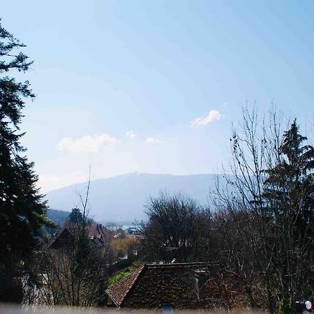 Maison 3 Chambres Au Lac D'Annecy, 30Min La Clusaz Menthon-Saint-Bernard Ngoại thất bức ảnh