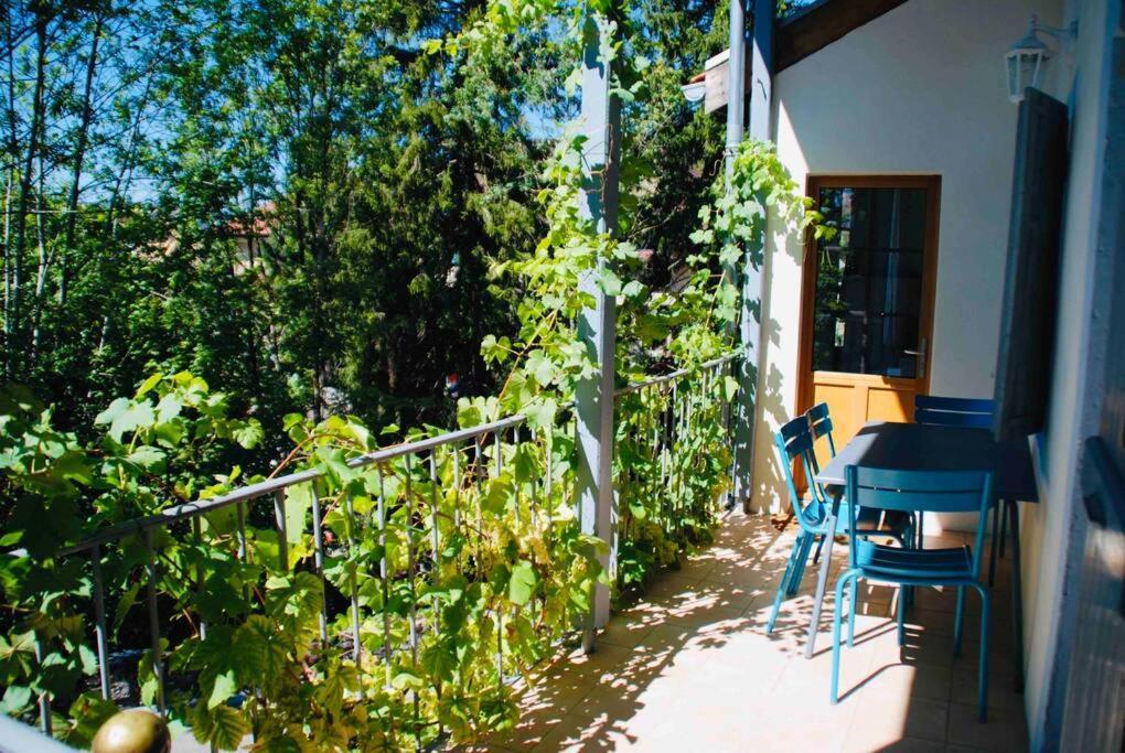Maison 3 Chambres Au Lac D'Annecy, 30Min La Clusaz Menthon-Saint-Bernard Ngoại thất bức ảnh