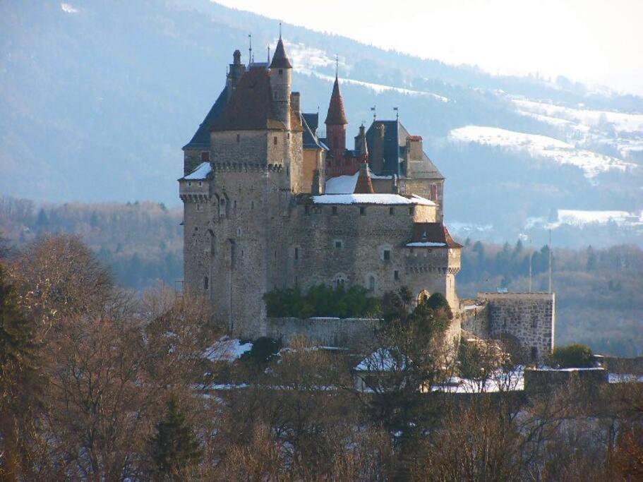 Maison 3 Chambres Au Lac D'Annecy, 30Min La Clusaz Menthon-Saint-Bernard Ngoại thất bức ảnh