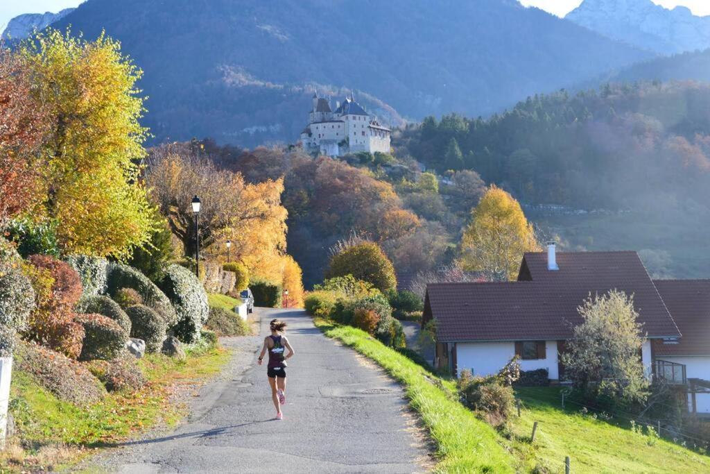 Maison 3 Chambres Au Lac D'Annecy, 30Min La Clusaz Menthon-Saint-Bernard Ngoại thất bức ảnh