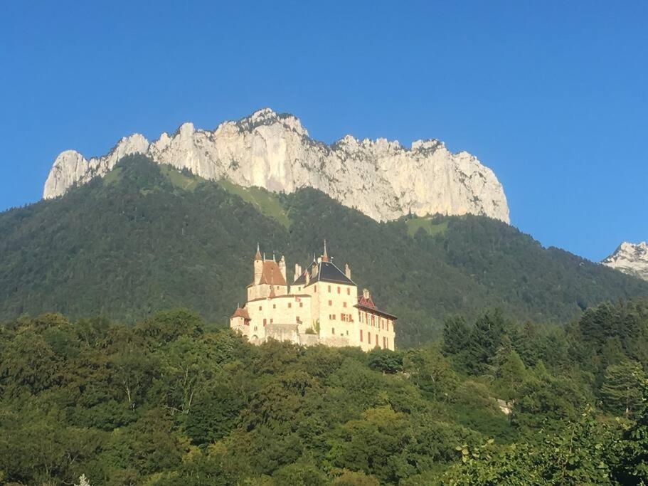 Maison 3 Chambres Au Lac D'Annecy, 30Min La Clusaz Menthon-Saint-Bernard Ngoại thất bức ảnh